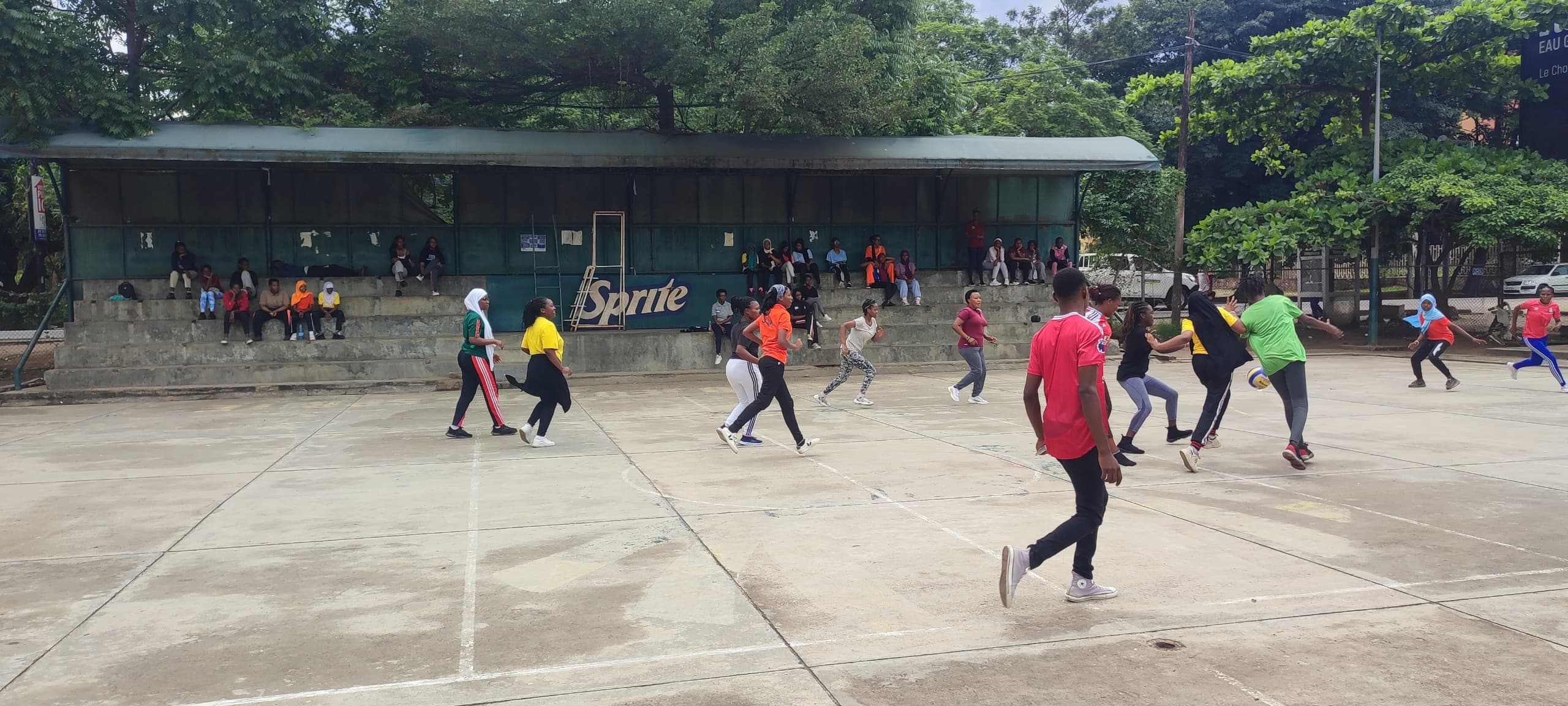 Students taking part in sports